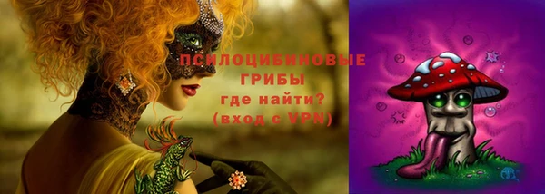 a pvp Аркадак