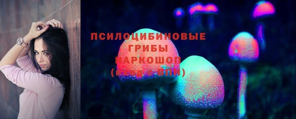 винт Арсеньев