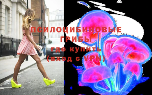 a pvp Аркадак