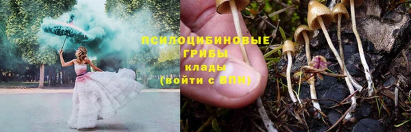хмурый Армянск