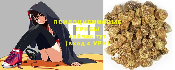 a pvp Аркадак