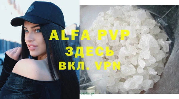 a pvp Аркадак